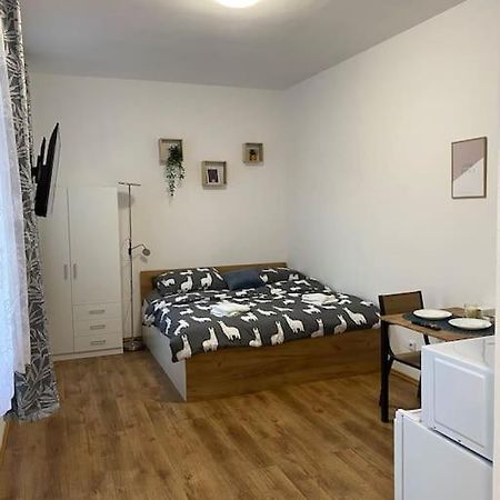 Cozy 1 Bedroom Studio In The Center Of Pilsen Exterior foto